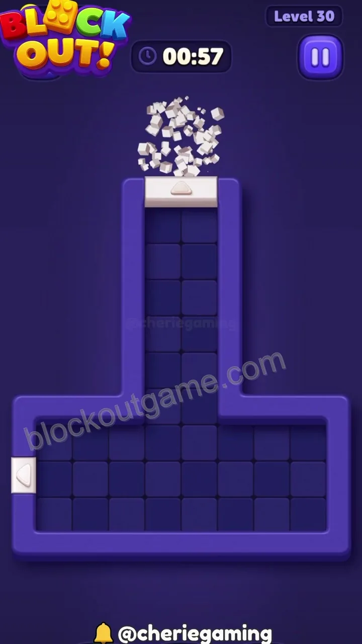 Block Out Level 30 step 7