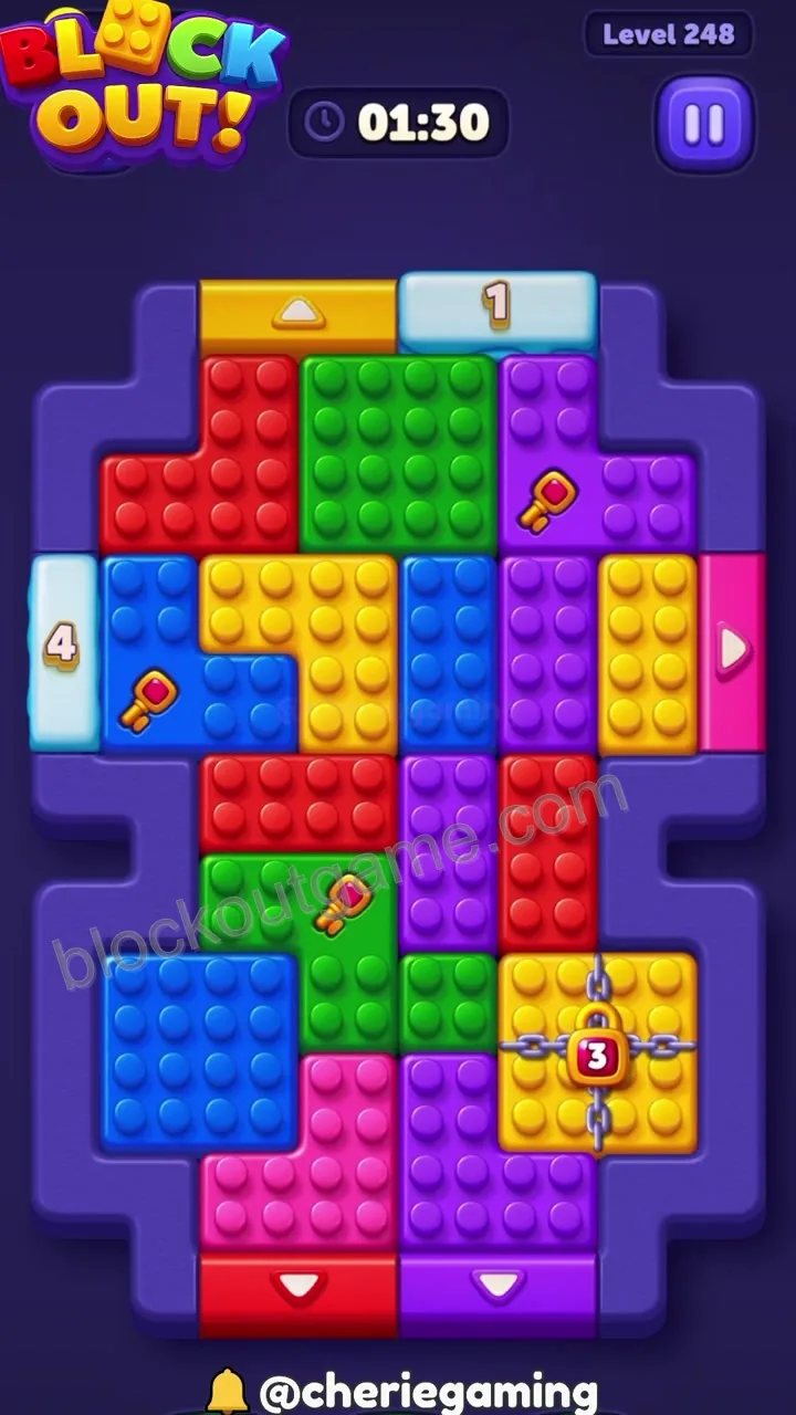 Block Out Level 248